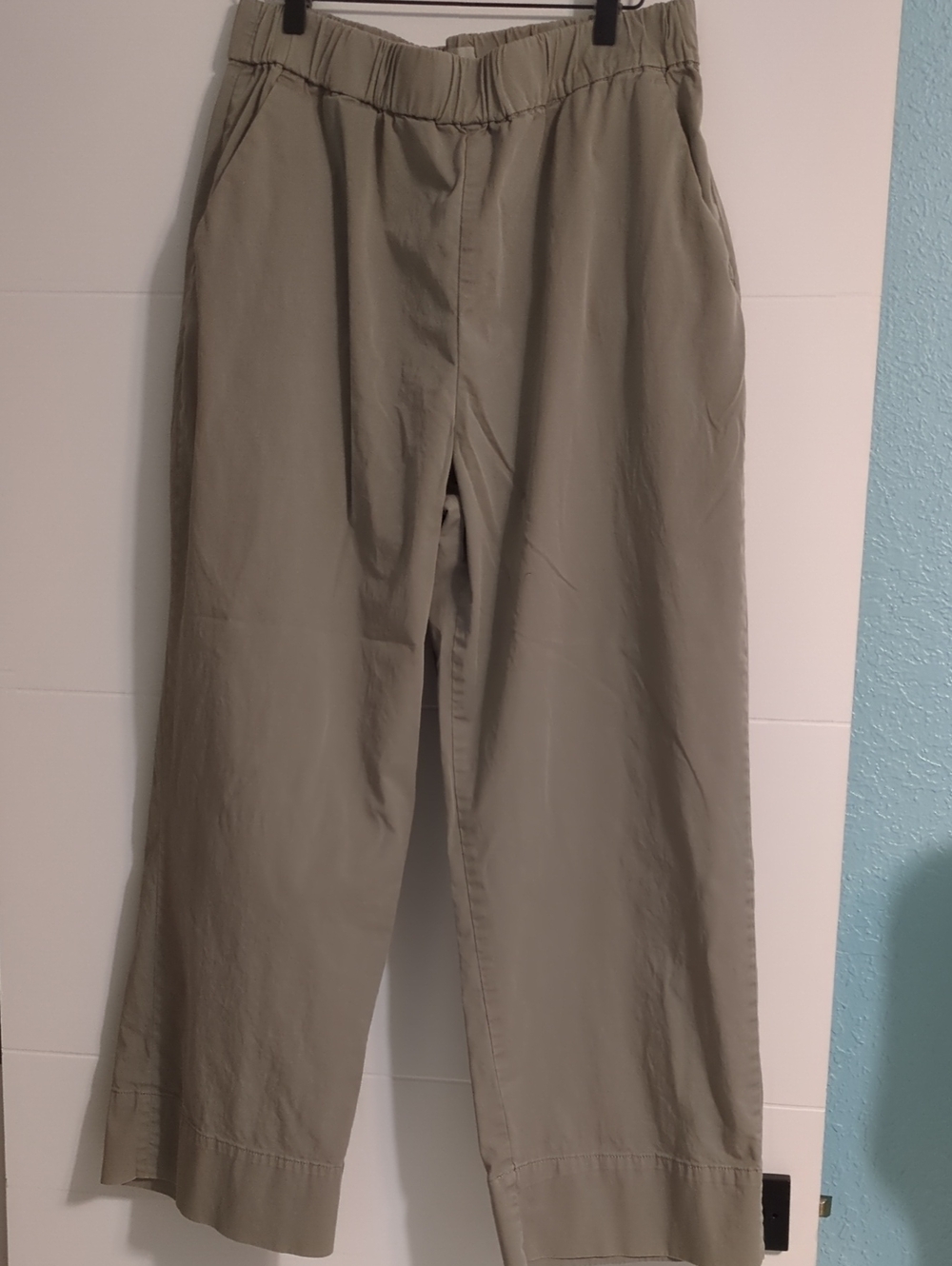 Everlane The Easy Pants Olive-Tan Elastic-Waist Chino Trousers Sz XXL Minimalist